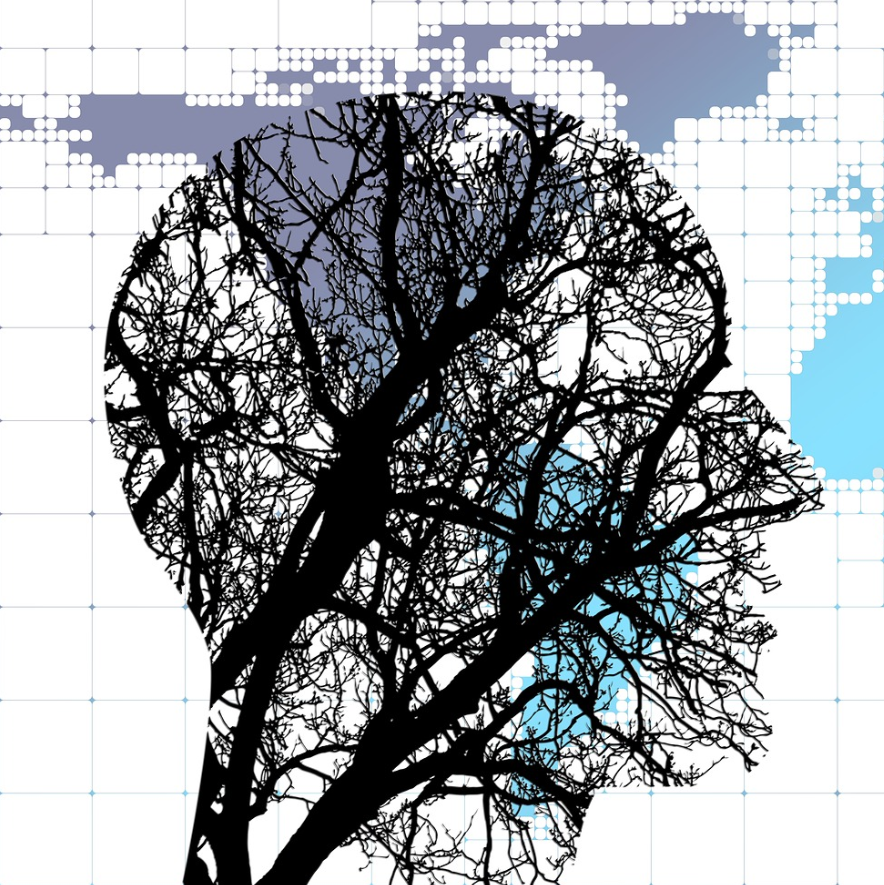 Illustration d'un profil avec des ramifications d'arbres sur fond de map monde